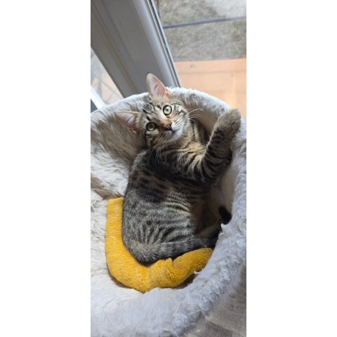 Barbara