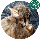 Journée d'adoptions