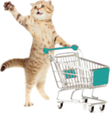 Collecte : 3 mai 2025