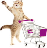 Collecte : 14 mars 2026