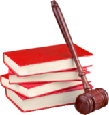 Les nouvelles règles pour adopter un animal de compagnie