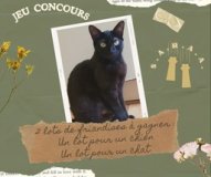 Jeu concours