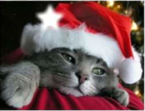 Collecte : 16 et 17 décembre 2023