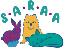 Saraa, l'association